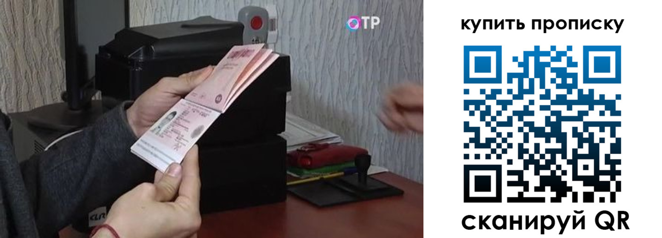 прописка гарантия в Бабаево
